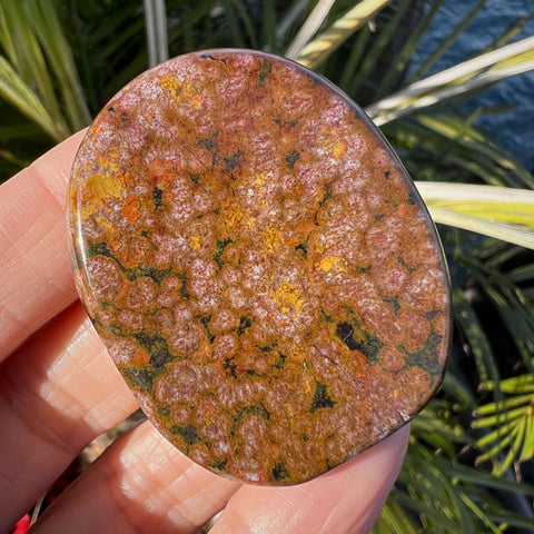 Ocean Jasper Manifestation Palm Stone