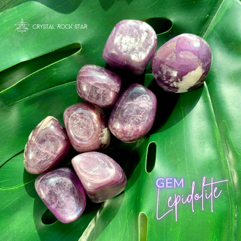 Gem Lepidolite Flashy Crystal for Dream Recall