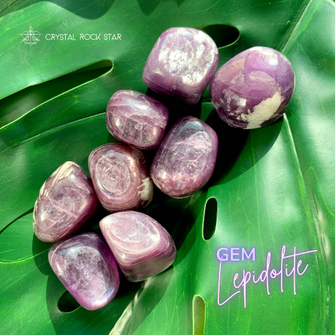 Gem Lepidolite Tumbled Stone