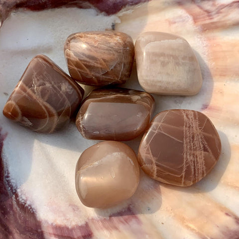 Chai Latte Peach Moonstone Tumbled Stone