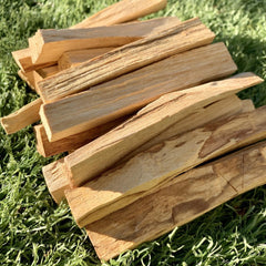 Palo Santo Incense - Bundle of 3 Sticks