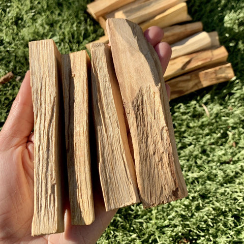 Palo Santo Incense - Bundle of 3 Sticks
