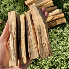 Palo Santo Incense - Bundle of 3 Sticks