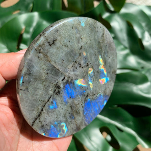 Rainbow Labradorite Genuine Crystal Coaster