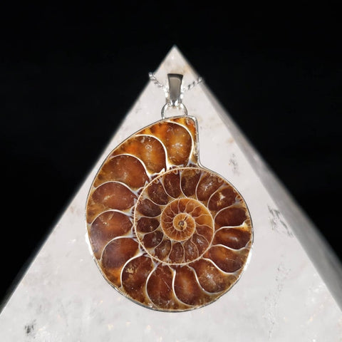 Avatar Ammonite Seashell Fossil Pendant