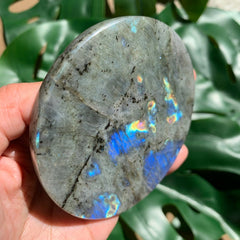 Rainbow Labradorite Genuine Crystal Coaster