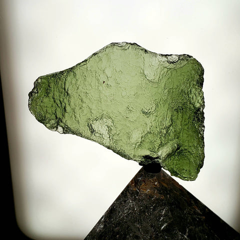 Genuine Moldavite - Ox Taurus Cow Shape