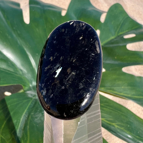 Greenland Nuummite Oval Cabochon