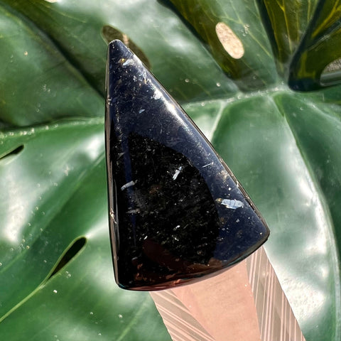 Silver Bronze Nuummite Triangle Cabochon