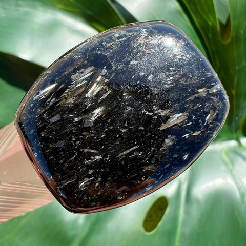 Silver Bronze Nuummite Rectangle Cabochon