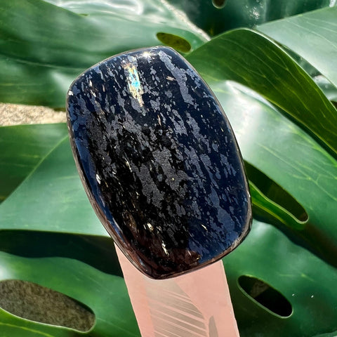 Greenland Nuummite Rectangle Cabochon