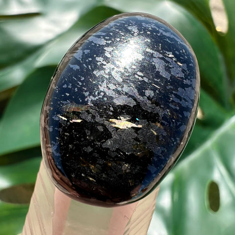 Greenland Nuummite Oval Crystal Cabochon
