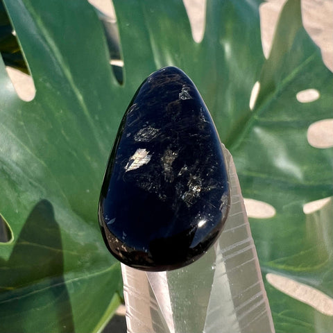 Greenland Nuummite Pear Cabochon