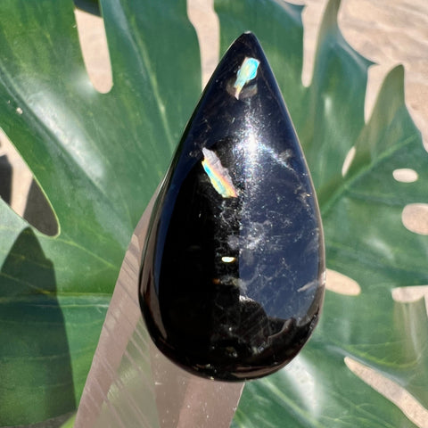 Rare Rainbow Nuummite Teardrop Pear Cabochon