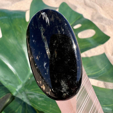 Greenland Nuummite Oval Cabochon