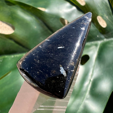 Silver Bronze Nuummite Triangle Cabochon