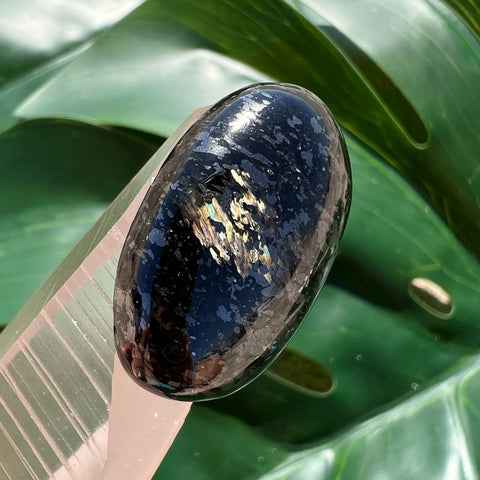 Greenland Nuummite Oval Crystal Cabochon