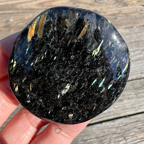 Shooting Star Flash Nuummite Palm Stone