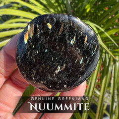 Shooting Star Flash Nuummite Palm Stone