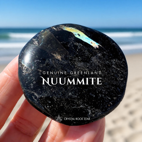 Greenland Nuummite Rare Blue Flash Palm Stone