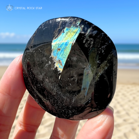 Greenland Nuummite Rare Blue Flash Palm Stone