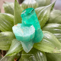 Colombian Emerald Natural Crystal Cluster