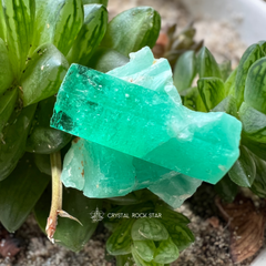 Colombian Emerald Natural Crystal Cluster