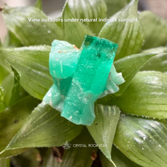 Colombian Emerald Natural Crystal Cluster