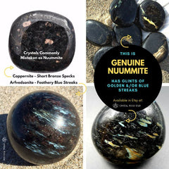 Greenland Nuummite Rare Blue Flash Palm Stone