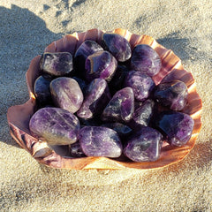 Amethyst Tumbled Stone Crystal 1" - 1.5" Brazil