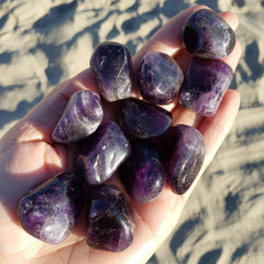 Amethyst Tumbled Stone Crystal 1" - 1.5" Brazil