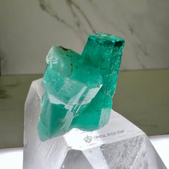 Colombian Emerald Natural Crystal Cluster