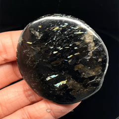 Greenland Nuummite Rare Blue Flash Palm Stone