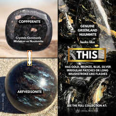 Genuine Nuummite Palm Stone 1.9"