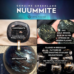 Nuummite Point Wand Obelisk 3.9"