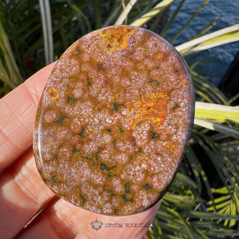 Ocean Jasper Manifestation Palm Stone
