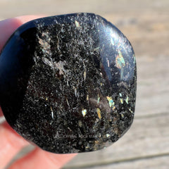 Nuummite Palm Stone - Empath Protection