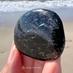 Rare Rainbow Flash Nuummite Palm Stone 1.9"