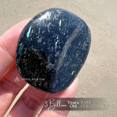 Rare Rainbow Flash Nuummite Palm Stone 1.9"