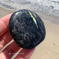 Flashy Greenland Nuummite Palm Stone 2"