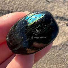 Rare Blue Greenland Nuummite Tumbled Stone