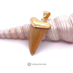 Shark Tooth Fossil Pendant 18k Gold Plated