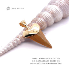 Shark Tooth Fossil Pendant 18k Gold Plated