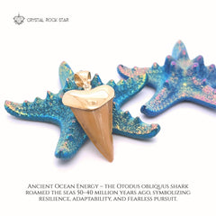 Shark Tooth Fossil Pendant 18k Gold Plated