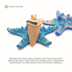 Shark Tooth Fossil Pendant 18k Gold Plated