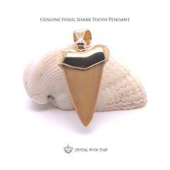 Shark Tooth Fossil Pendant 18k Gold Plated