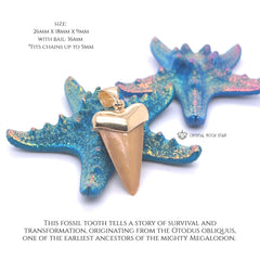 Shark Tooth Fossil Pendant 18k Gold Plated