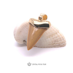 Shark Tooth Fossil Pendant 18k Gold Plated
