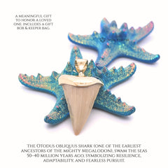 Beige Shark Tooth Fossil Pendant 18k Gold