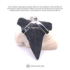 Megalodon Shark Tooth Sterling Silver Pendant